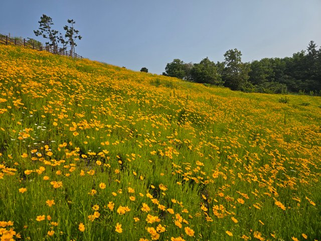 20250529_081522.jpg