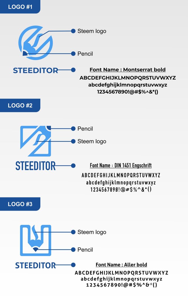SteEditor Logo_Presentation.jpg