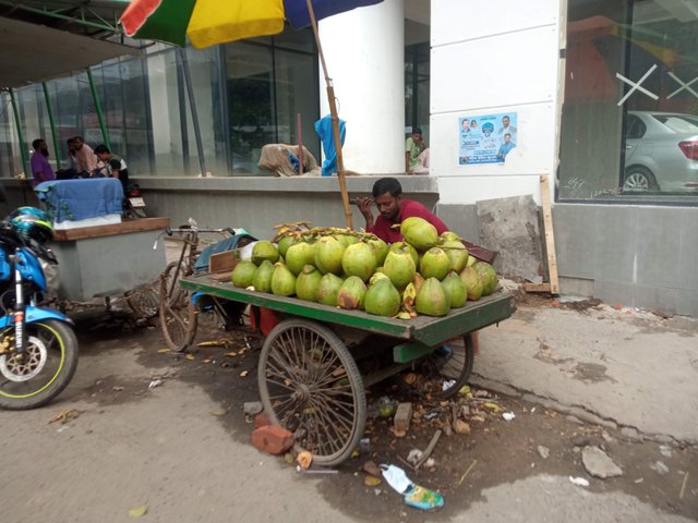 prokriti (4).jpg