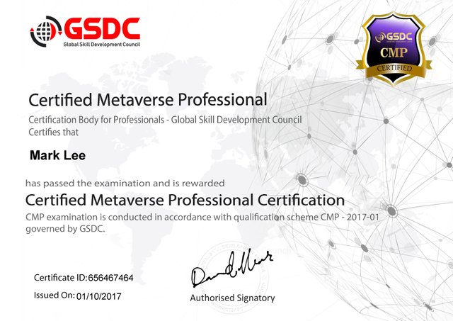 metavrse professional certification.jpg