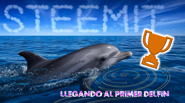 delfin1.png