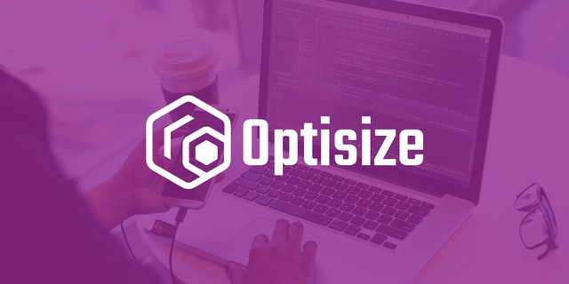 LOGO DESIGN_OPTISIZE_BACKGROUND IMAGE.jpg