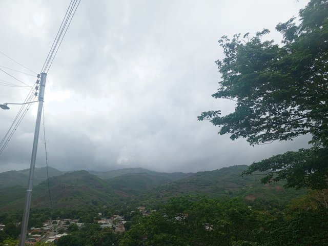 IMG_20250517_092203_880.jpg