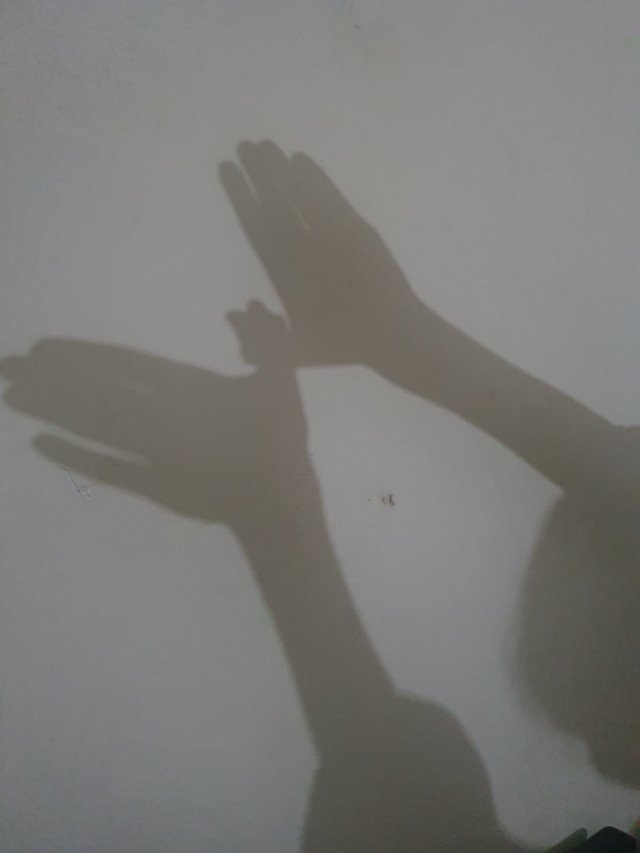20250625_135143.jpg