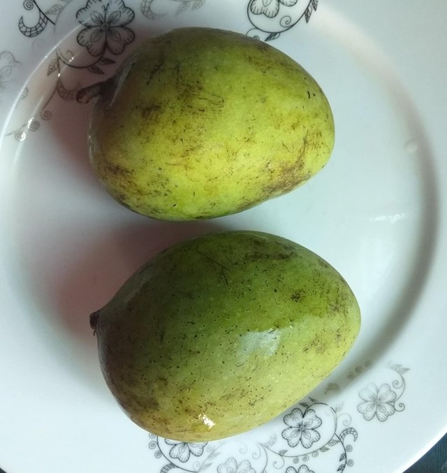 r20.jpg
