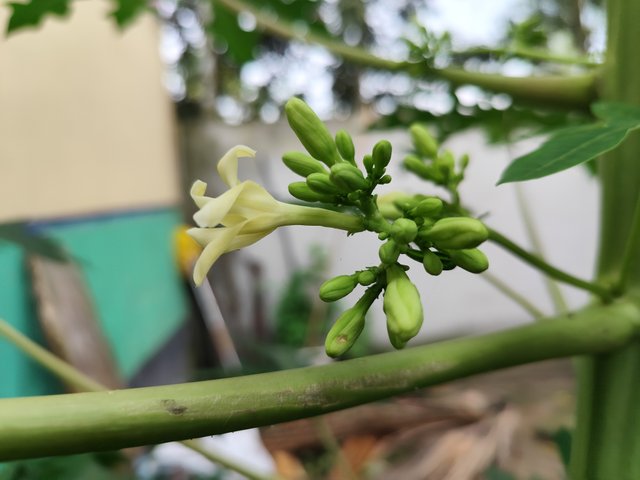 IMG_20250623_171637.jpg
