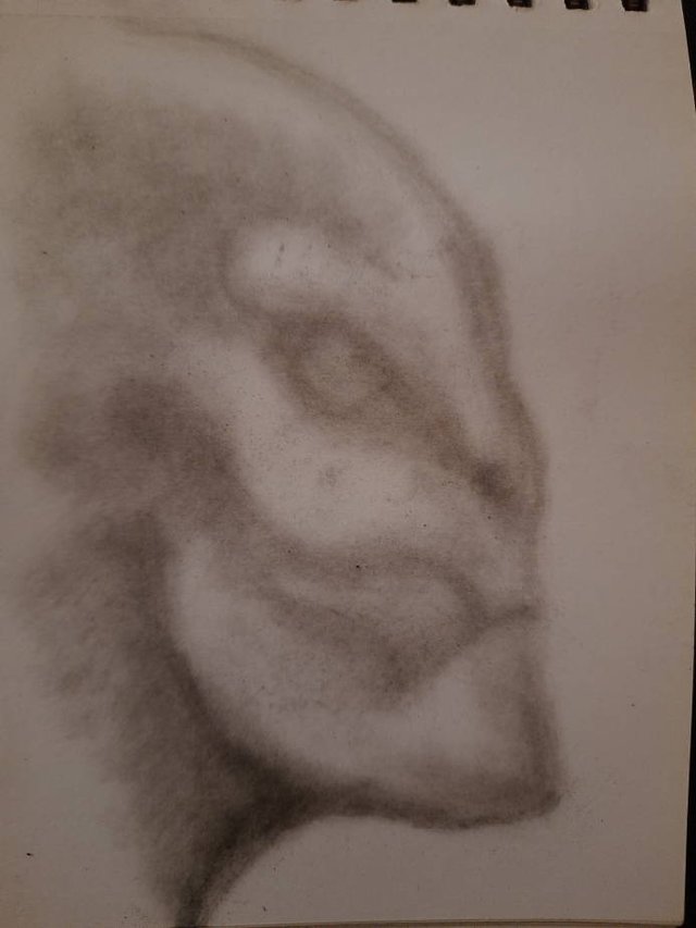 20250920_105401.jpg