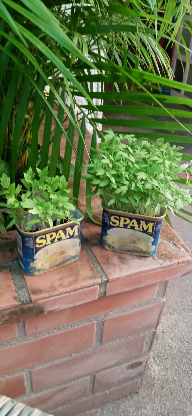 20230709_185914.jpg