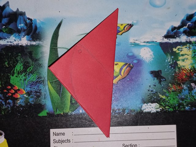 20250422_112438.jpg