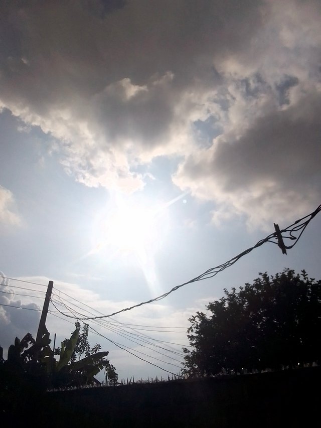 IMG_20250719_163431_237.jpg