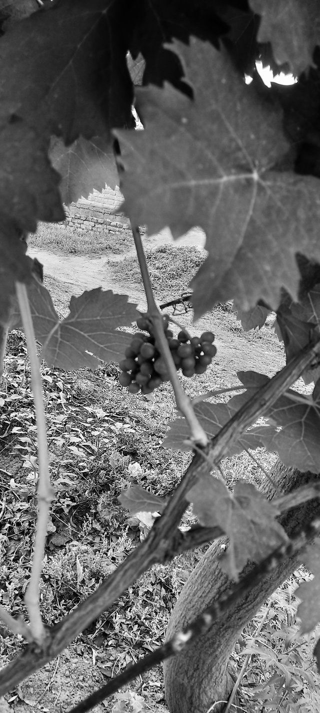 20250514_092749.jpg