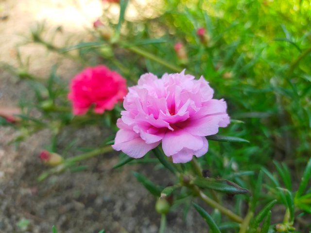 IMG20230528112538.jpg