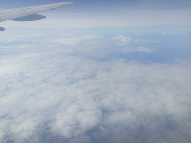 IMG20250911081456.jpg