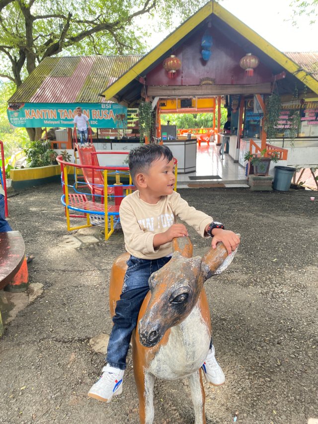 IMG_1907.jpeg