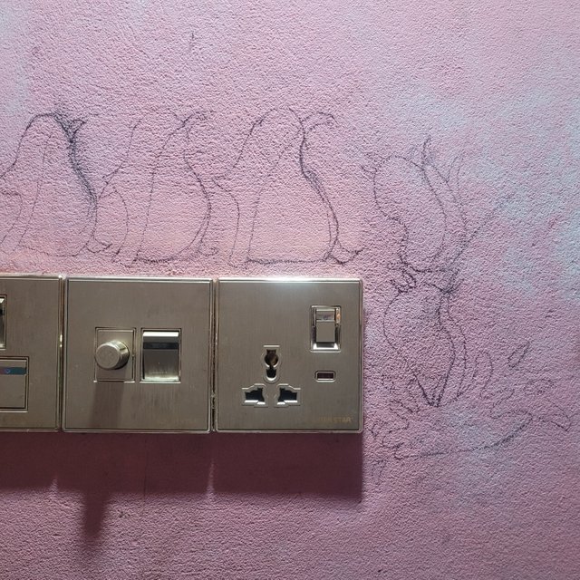 20250628_211112.jpg
