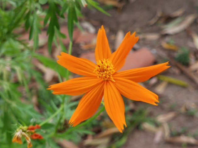 1000117830.jpg