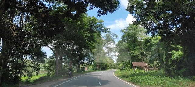 IMG_20210913_123720.jpg