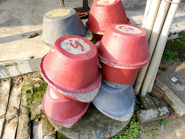 1000040387.jpg