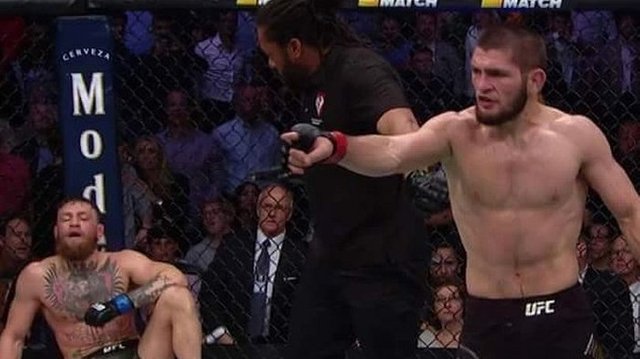 hasil-ufc-cornor-mcgregor-vs-khabib-nurmagomedov_20181007_150908.jpg