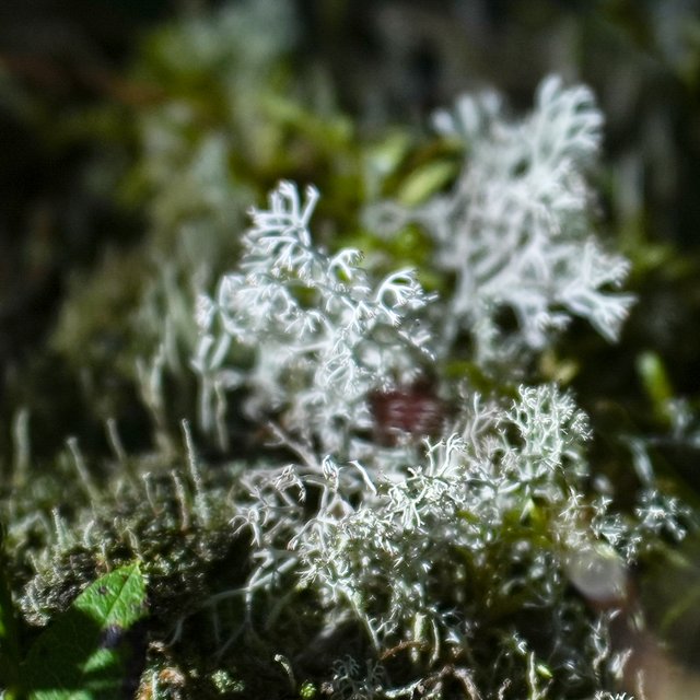 DSC03860.jpg