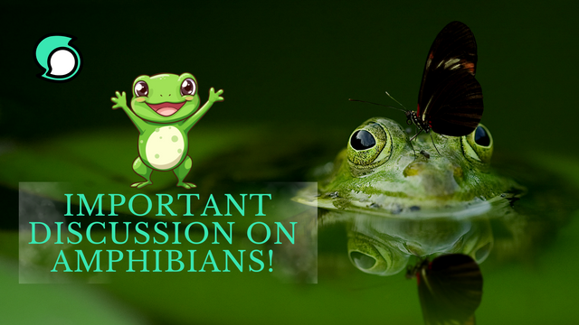 Yellow Rediscovering Amphibians Blog Banner.png