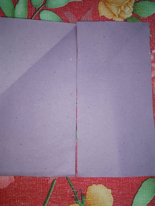 IMG20250711193904.jpg