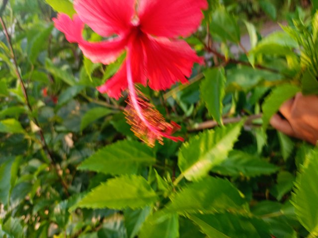 IMG20250517173251.jpg