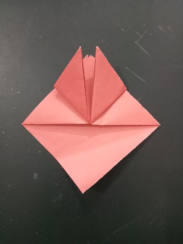 1000027661.jpg