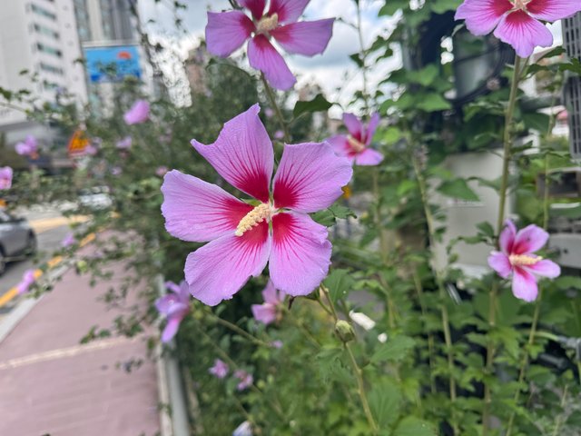 KakaoTalk_20250915_133411890.jpg