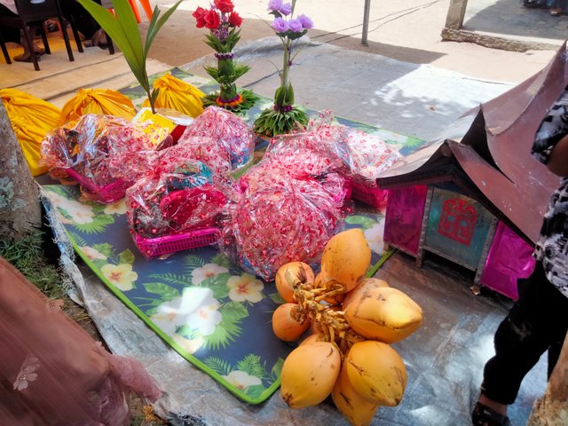 IMG20250512125832.jpg