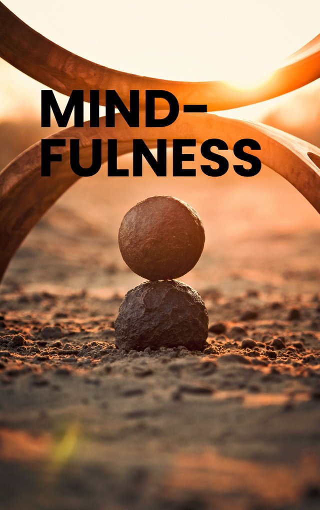 Brown Black Simple Mindfulness Book Cover_20231022_180559_0000.jpg