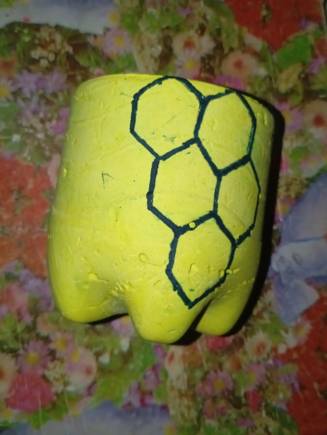 1000105357.jpg