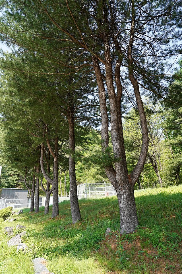 b-DSC00940.JPG