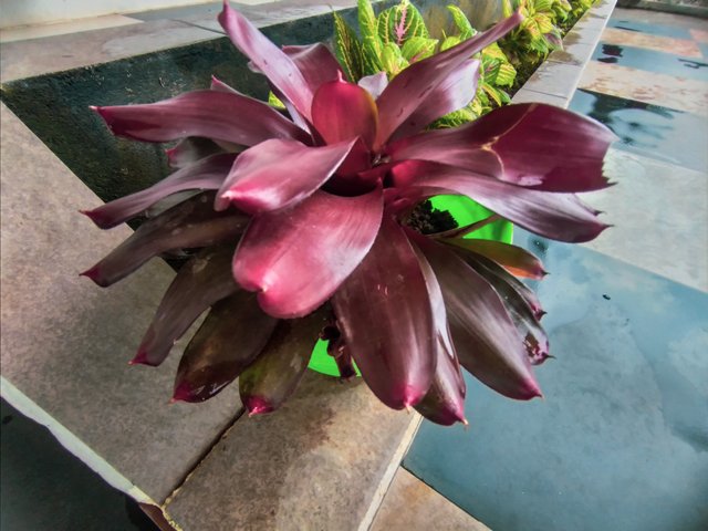 20220530_135202.jpg