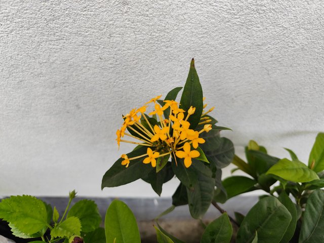 IMG_20250626_143328.jpg
