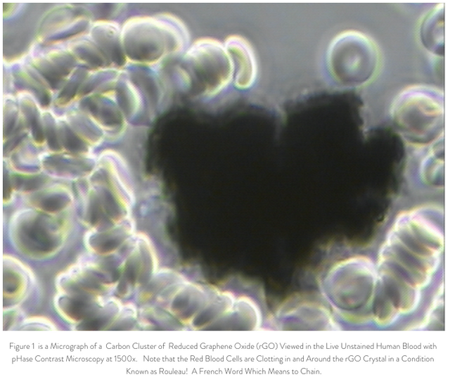 graphene-oxide-in-blood-rouleau-effect.png