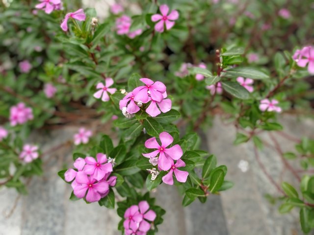 IMG_20250408_120435.jpg