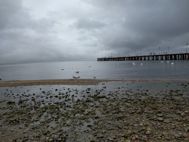 20240510_134050.jpg