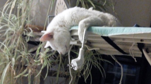 IMG_20190528_230055146 (2).jpg