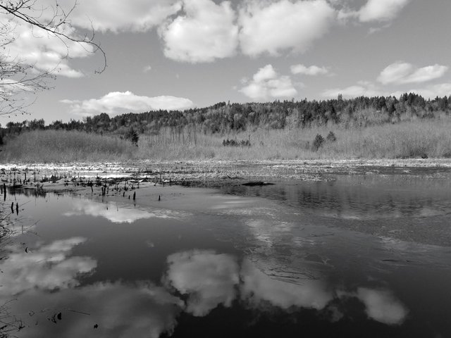 black-n-white-water-reflection-contest-2nd.jpg