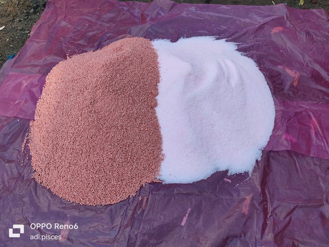 IMG20250717081310.jpg