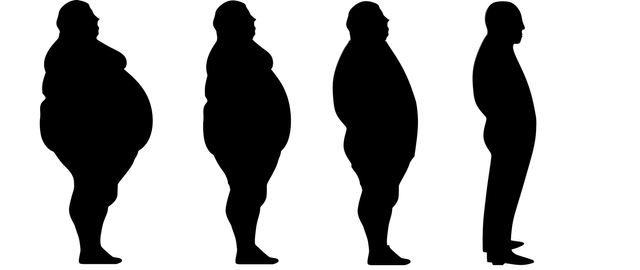 lose-weight-g1e813bcf4_1920.png