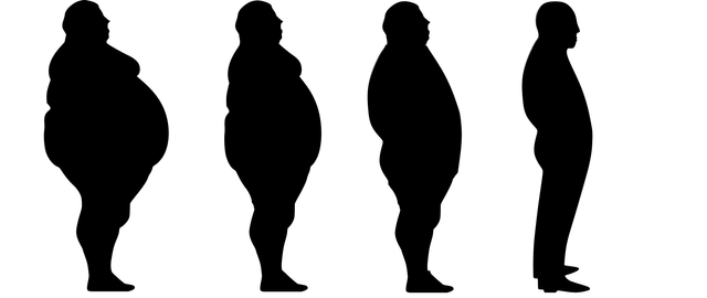 lose-weight-gc7fc46d49_1920.png