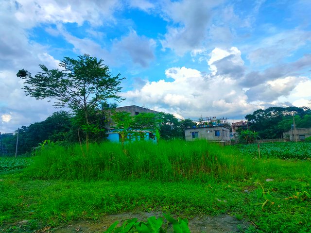 IMG20250616160520.jpg