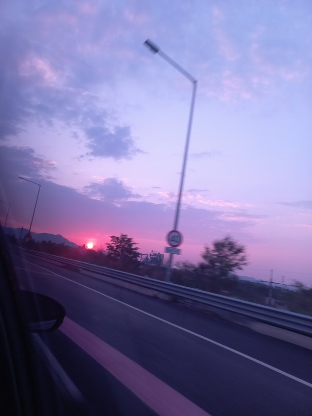 20250511_190124.jpg