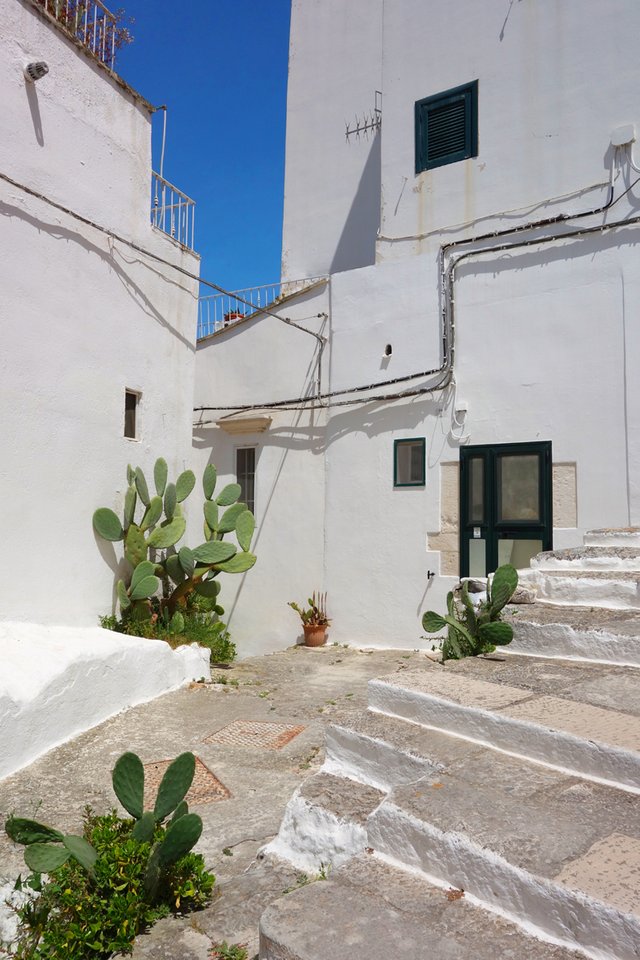 ostuni 12.jpg