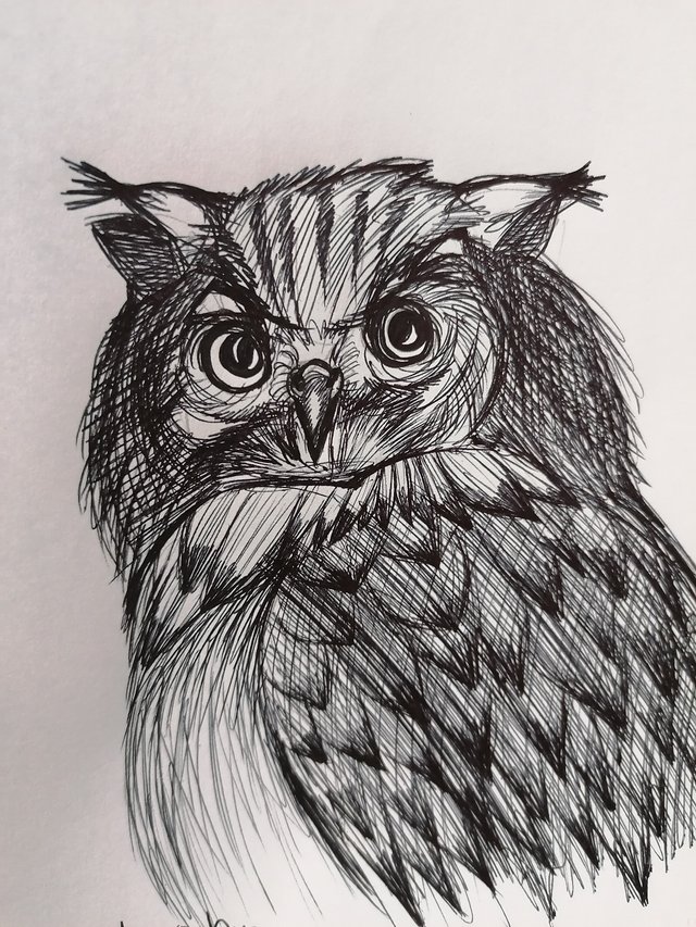 owl pen (9).jpg