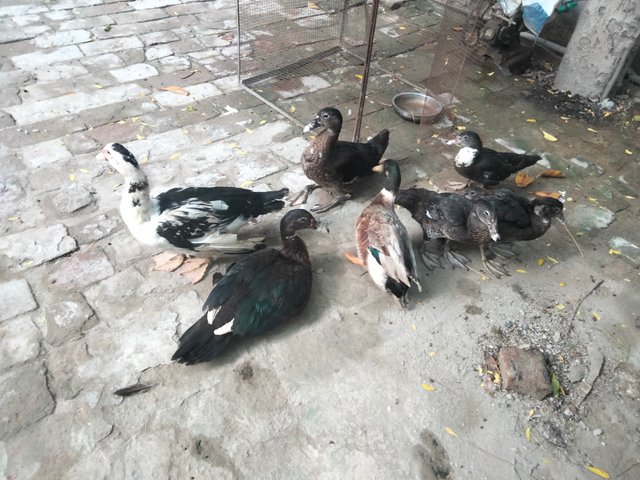 IMG20250825174719.jpg