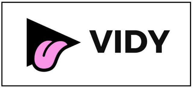 VIDY ICO Review.png