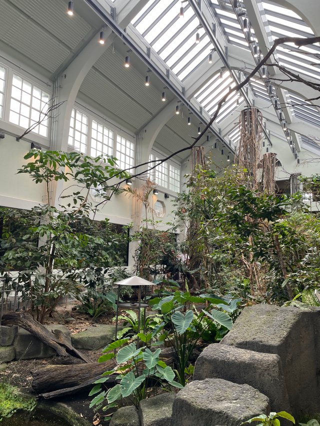 IMG_8076.jpeg